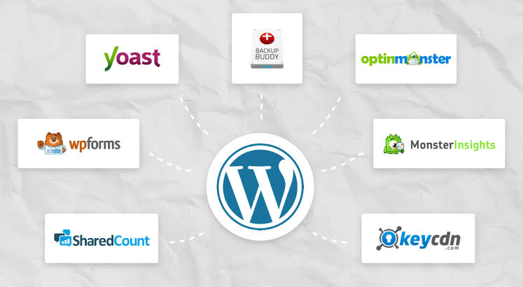 WordPress ecosystem overview.png